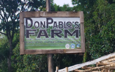 Business Expansion in Philippines